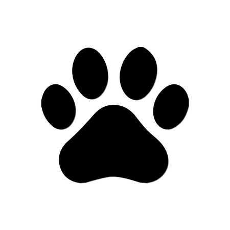 pictures of dog paws pictures of dog paws